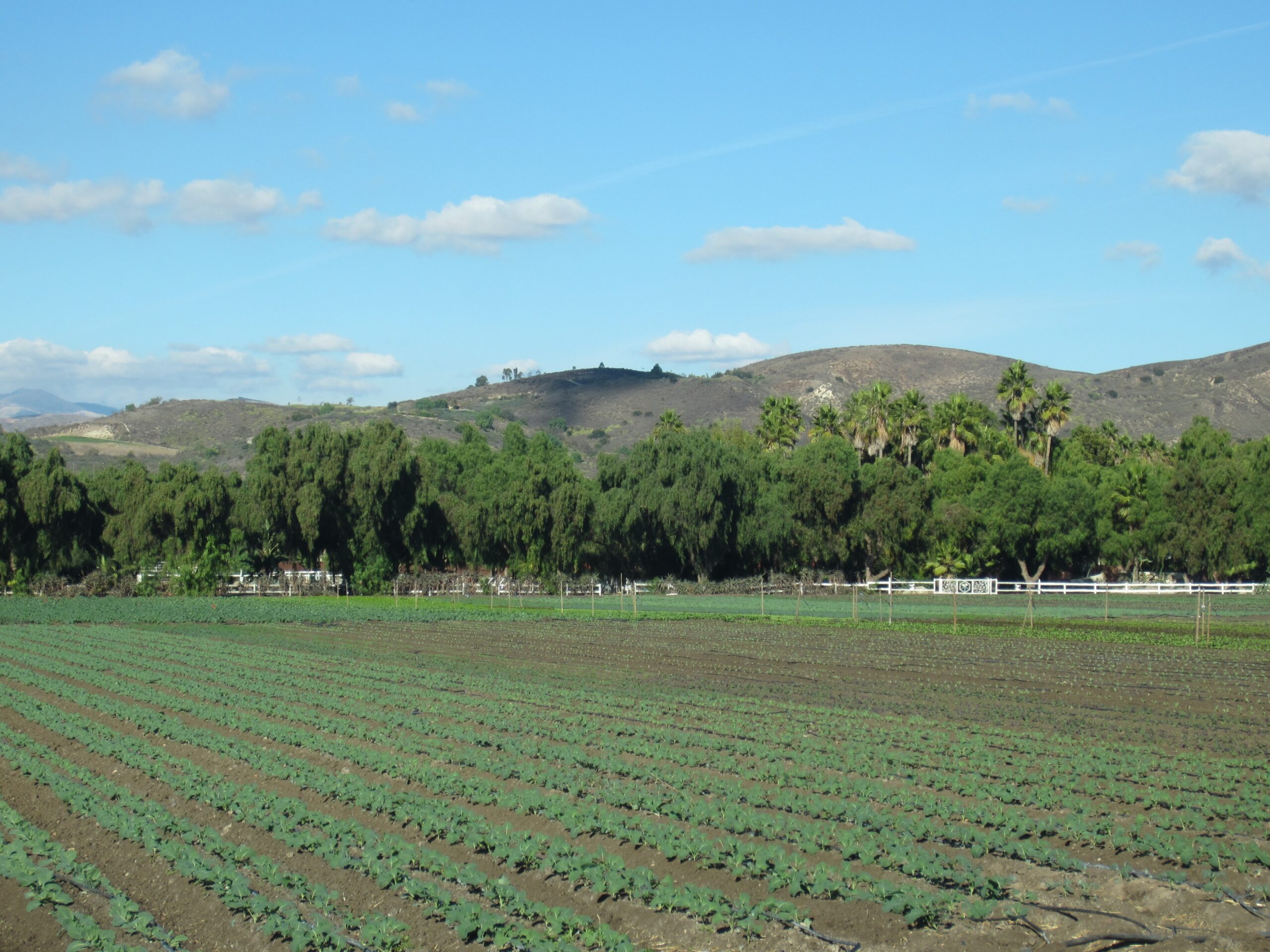 Home Acres Moorpark