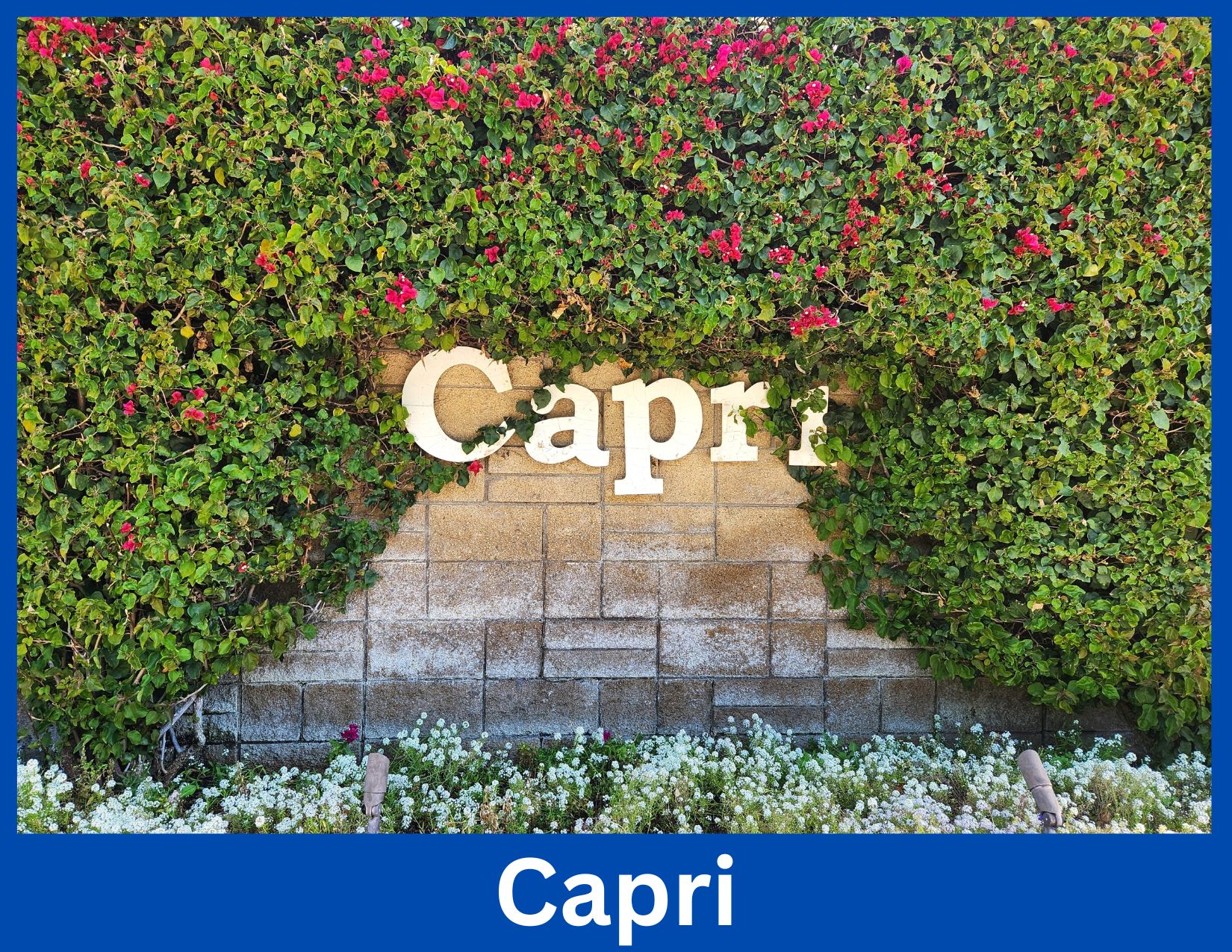 Capri, Oak Park