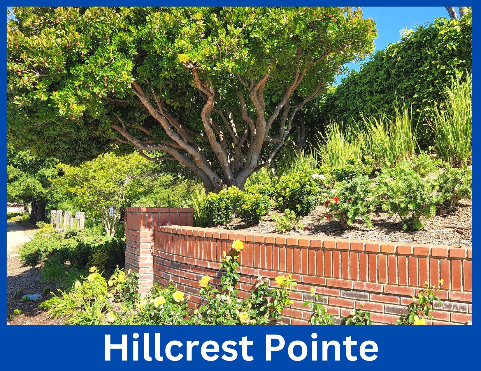 Hillcrest Pointe, Oak Park