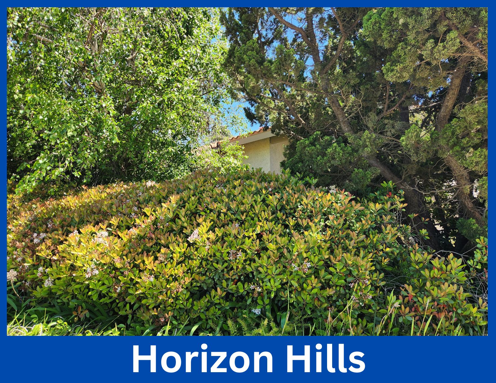 Horizon Hills, Thousand Oaks