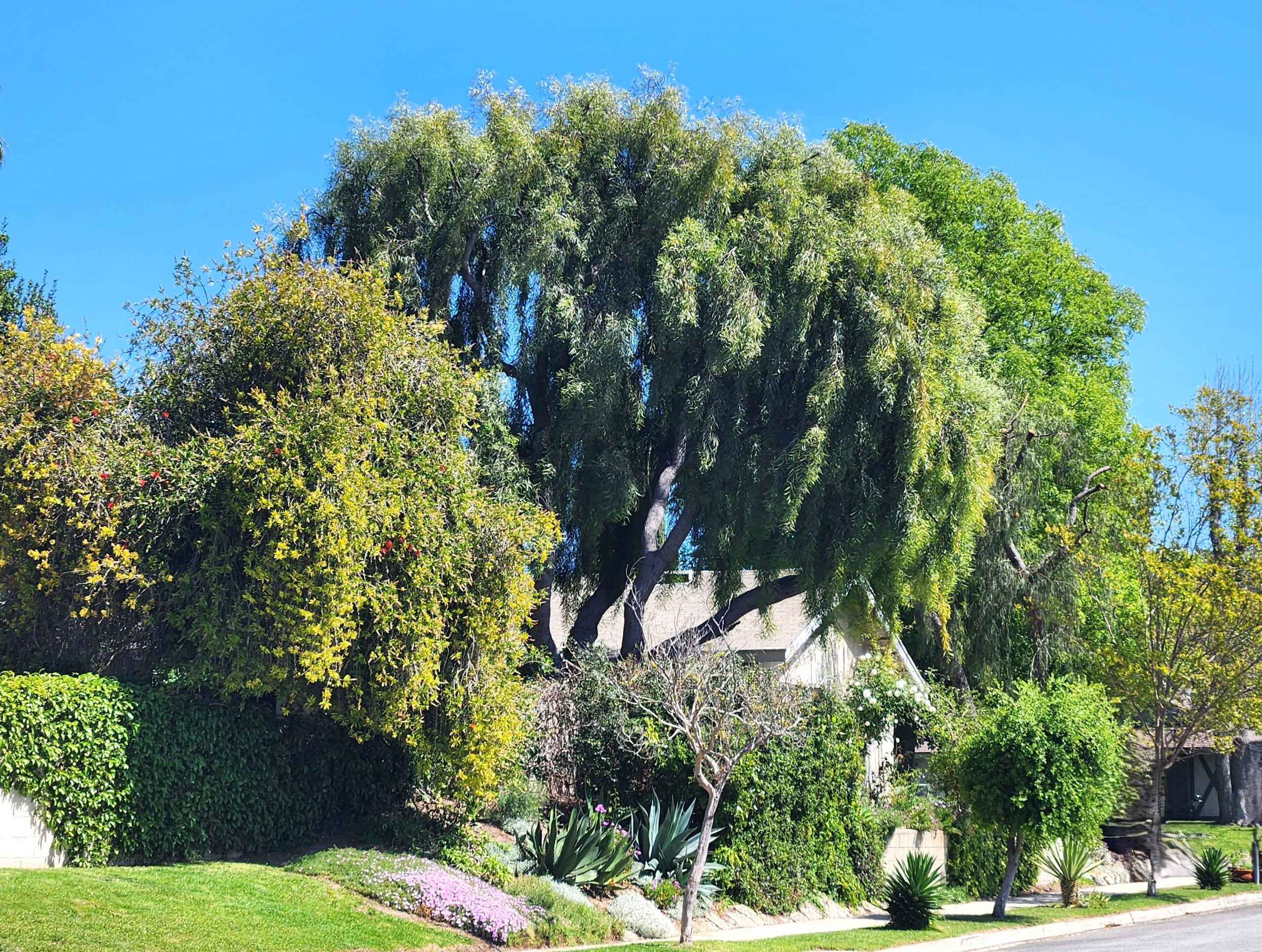 Lang Ranch, Thousand Oaks