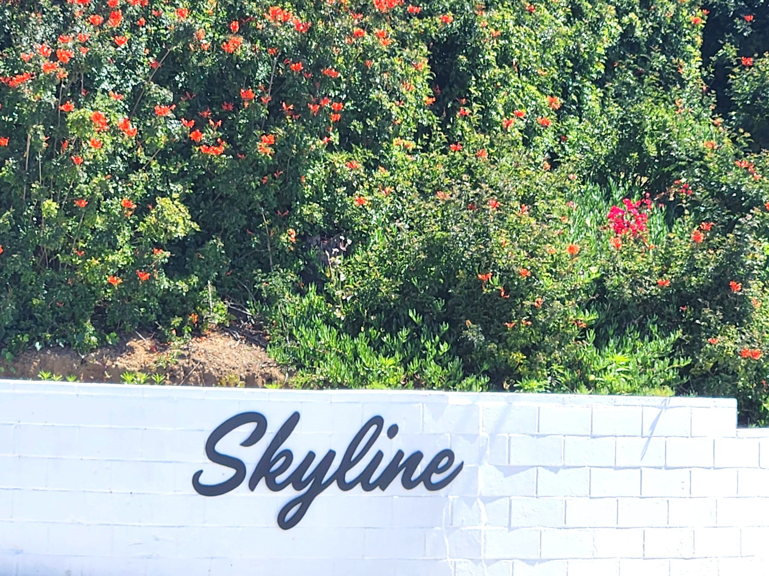 Skyline Estates, Ventura