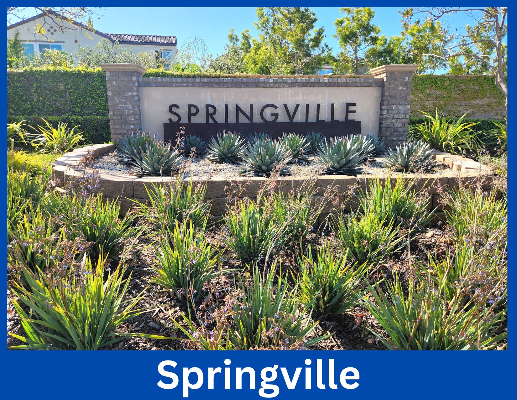 Springville, Camarillo