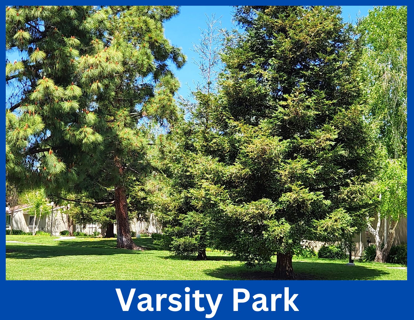 Varsity Park, Moorpark