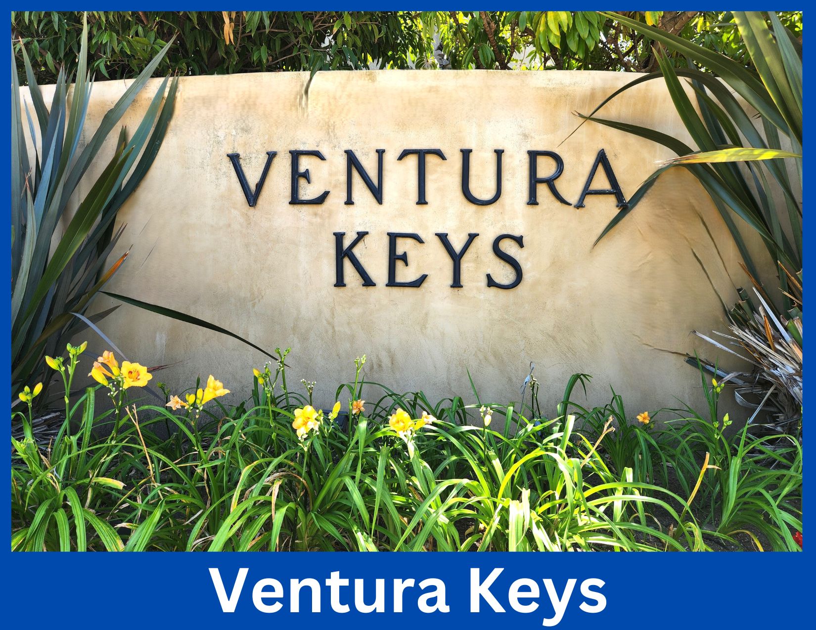 Ventura Keys, Ventura